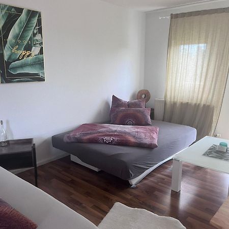 Mels Appartment Шветцинген Экстерьер фото