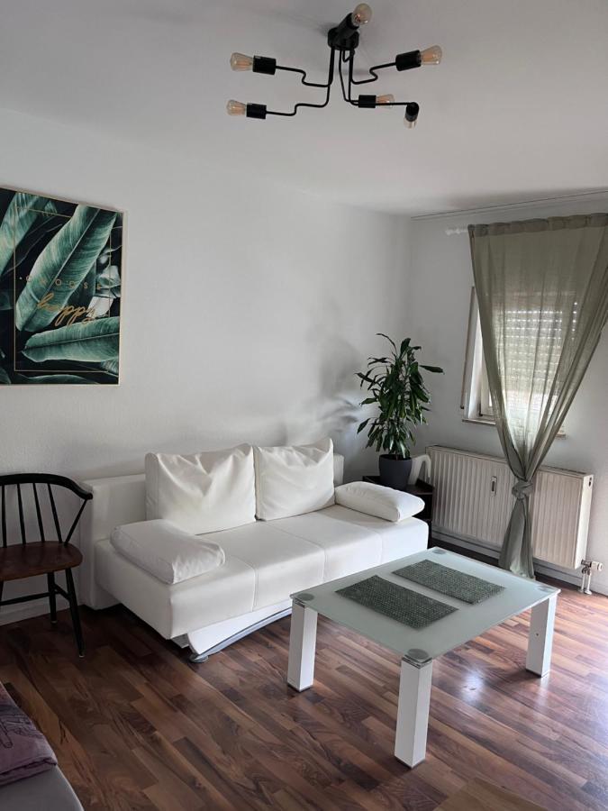Mels Appartment Шветцинген Экстерьер фото