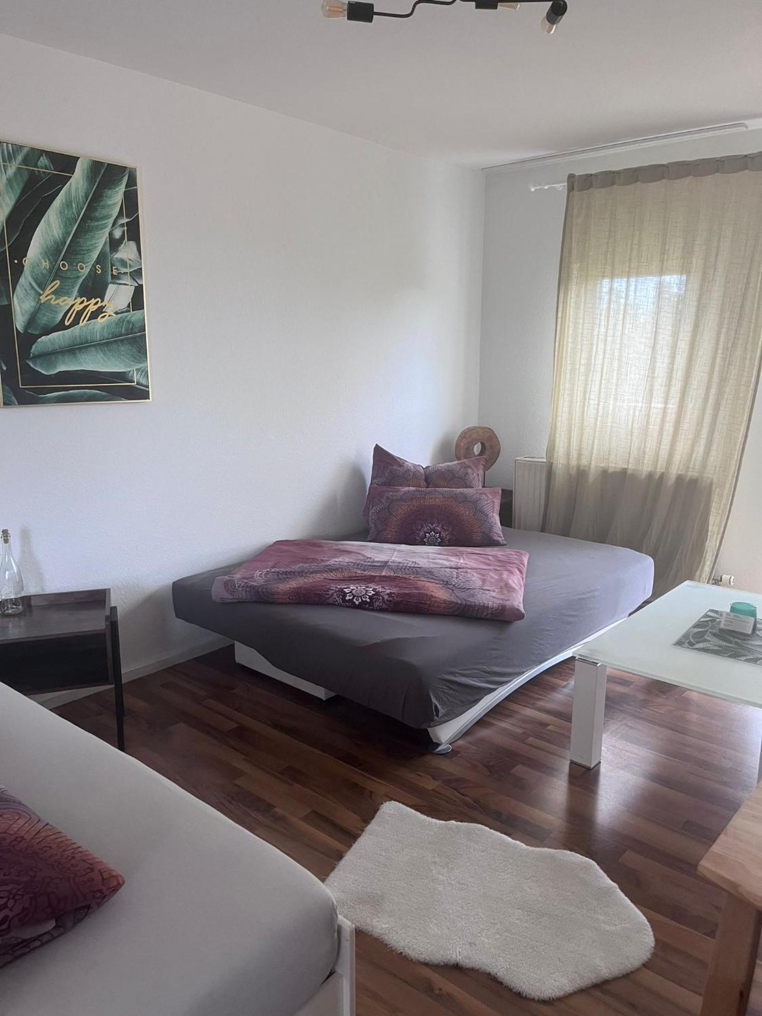 Mels Appartment Шветцинген Экстерьер фото